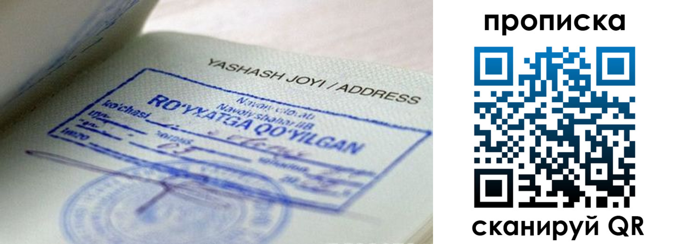 временная регистрация надежно в Волосово